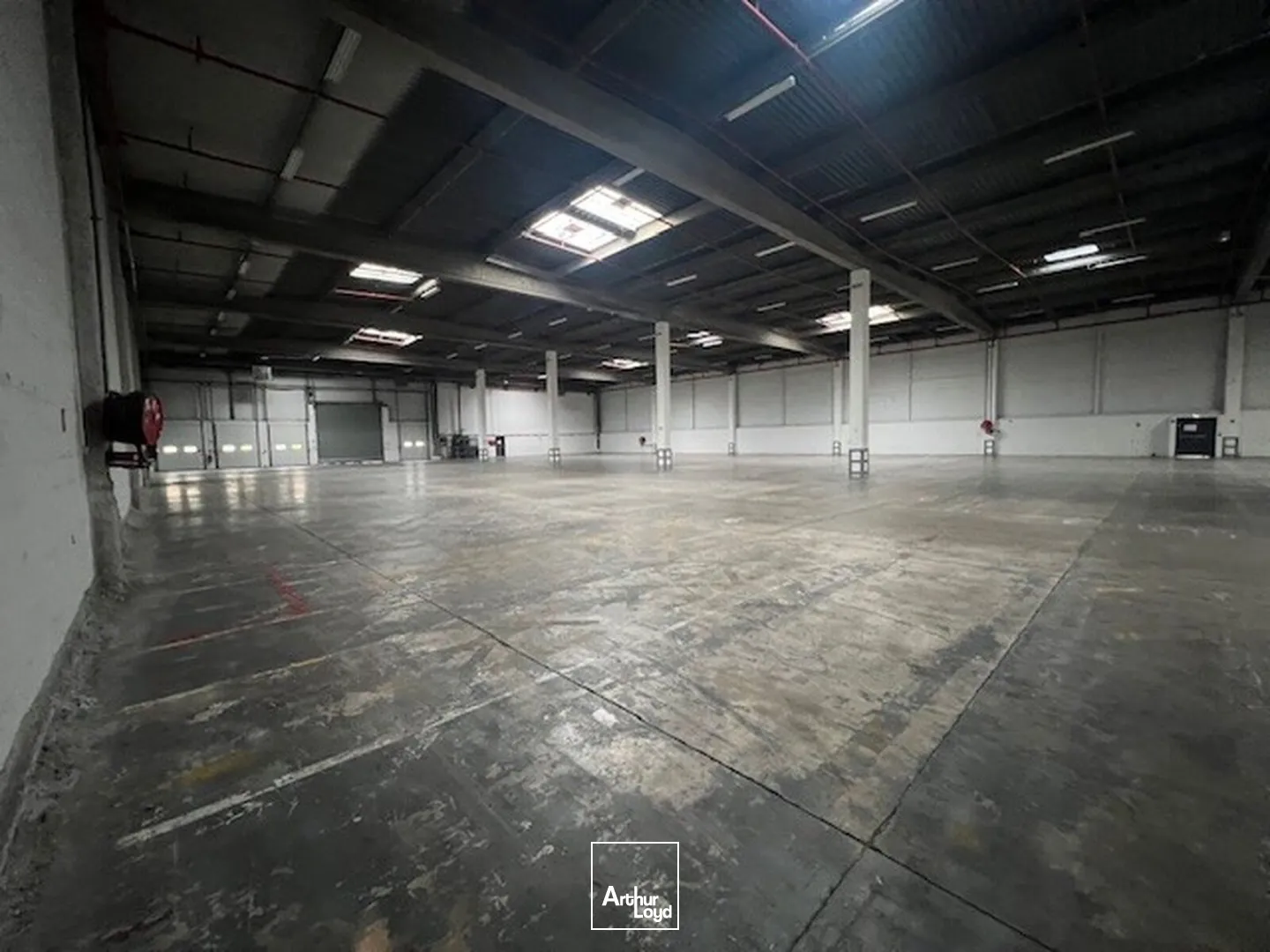 Locaux d'activité & Entrepôts - Location - LES ULIS - 91940 - 4272-8577 - 7605202