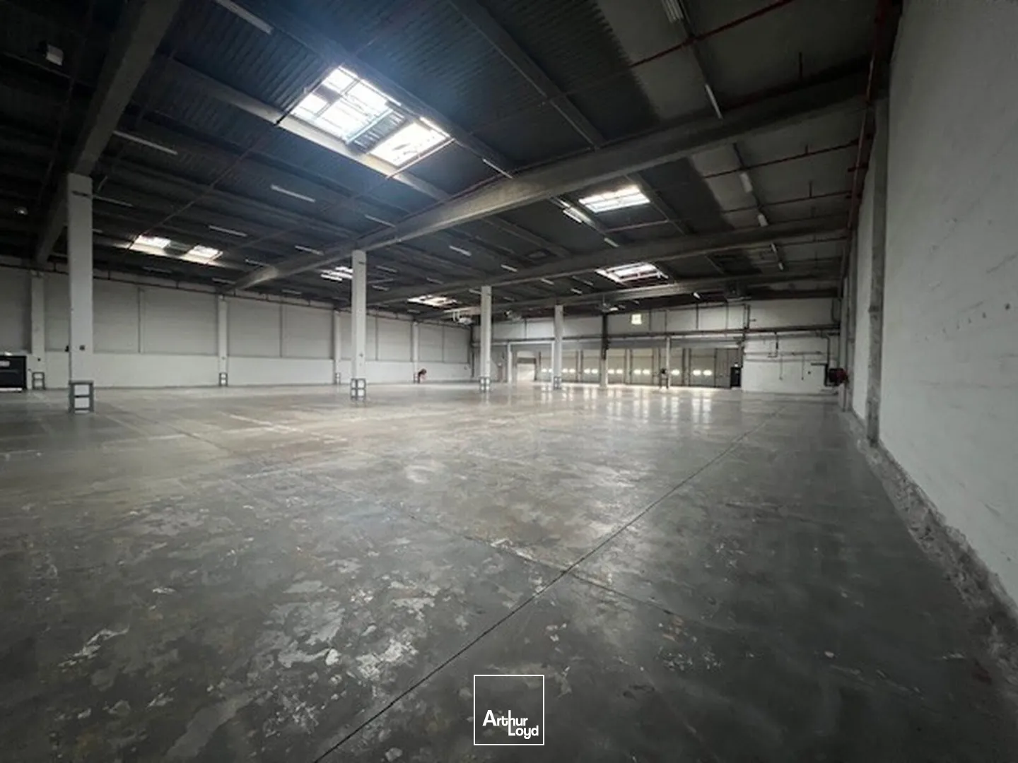 Locaux d'activité & Entrepôts - Location - LES ULIS - 91940 - 4272-8577 - 7605203