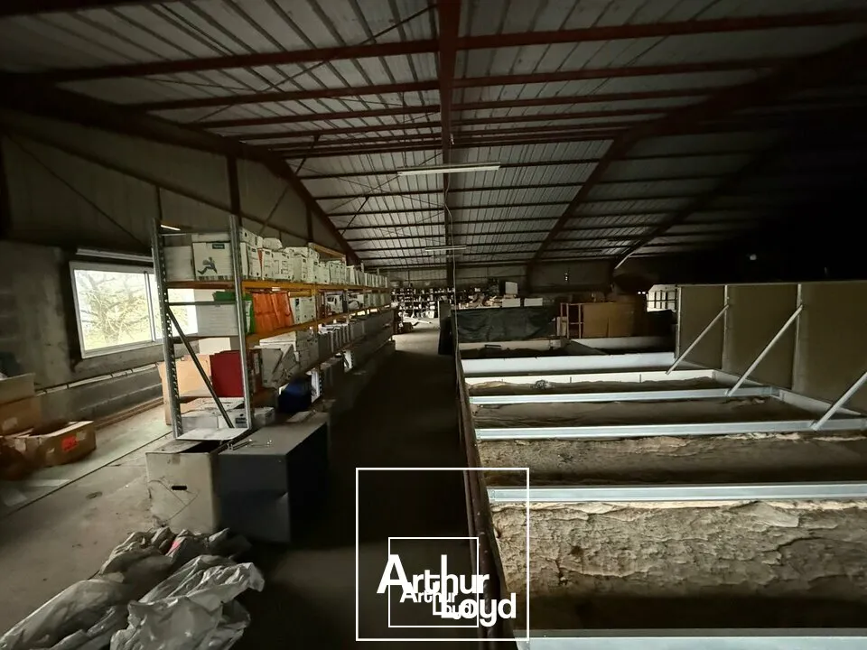 LOCAL D'ACTIVITE - ENTREPOT vente à BRIVE-LA-GAILLARDE 19100