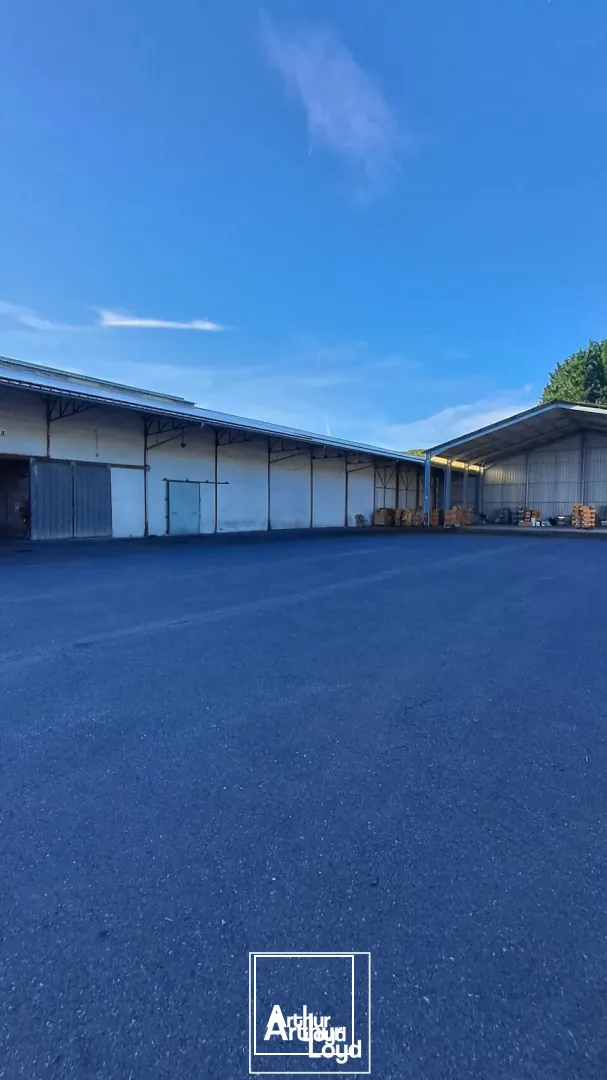 LOCAL D'ACTIVITE - ENTREPOT vente à ARNAC-POMPADOUR 19230