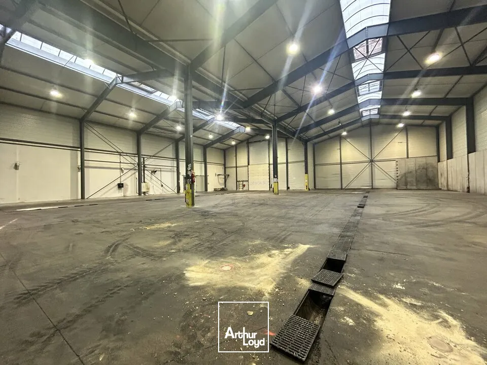 Locaux d'activité & Entrepôts - Vente - GERGY - 71590 - 4780-4780 - 7607542