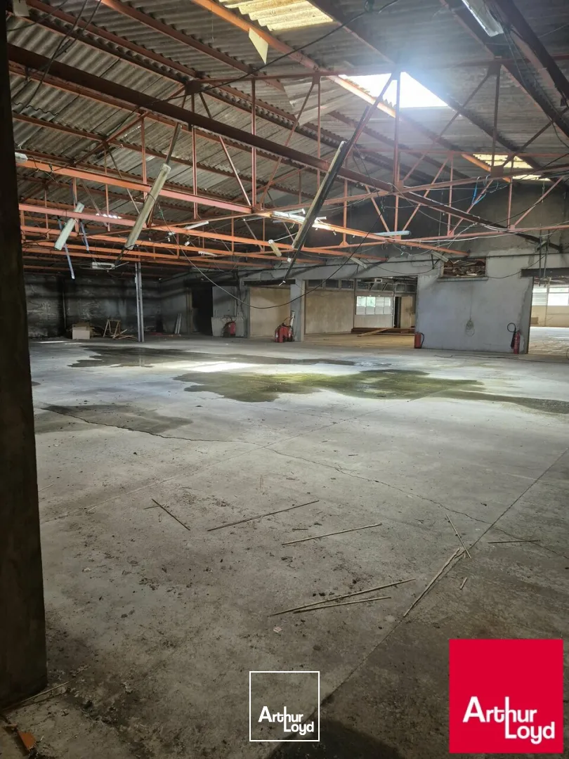 SAINT PAUL LES DAX - local d'activités / Entrepôt de 1.500 m²