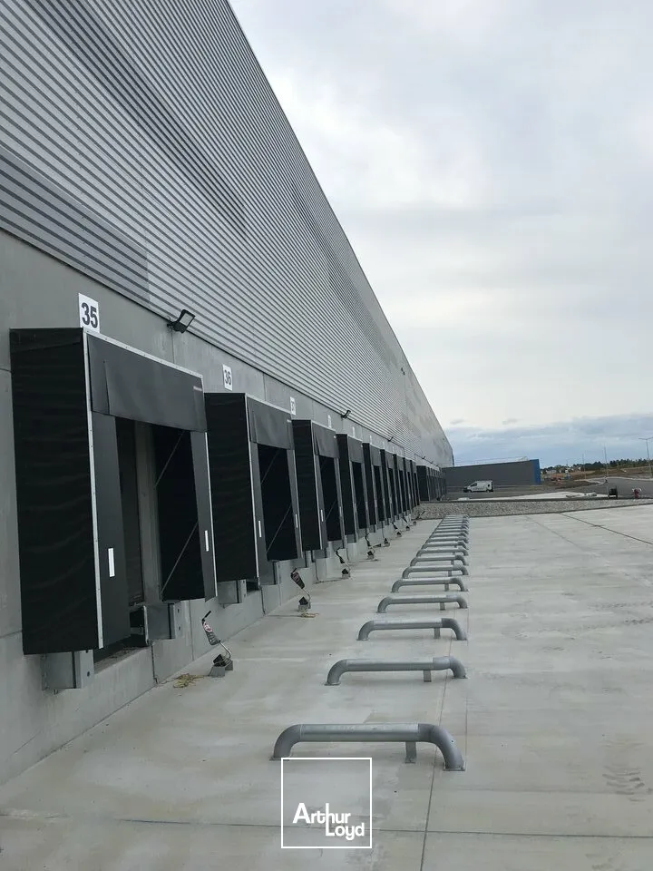 Locaux d'activité & Entrepôts - Location - ENSISHEIM - 68190 - 12394.64-25209.53 - 7608423