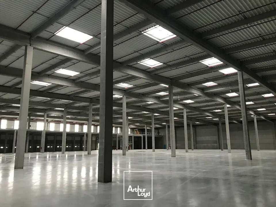 Locaux d'activité & Entrepôts - Location - ENSISHEIM - 68190 - 12394.64-25209.53 - 7608424