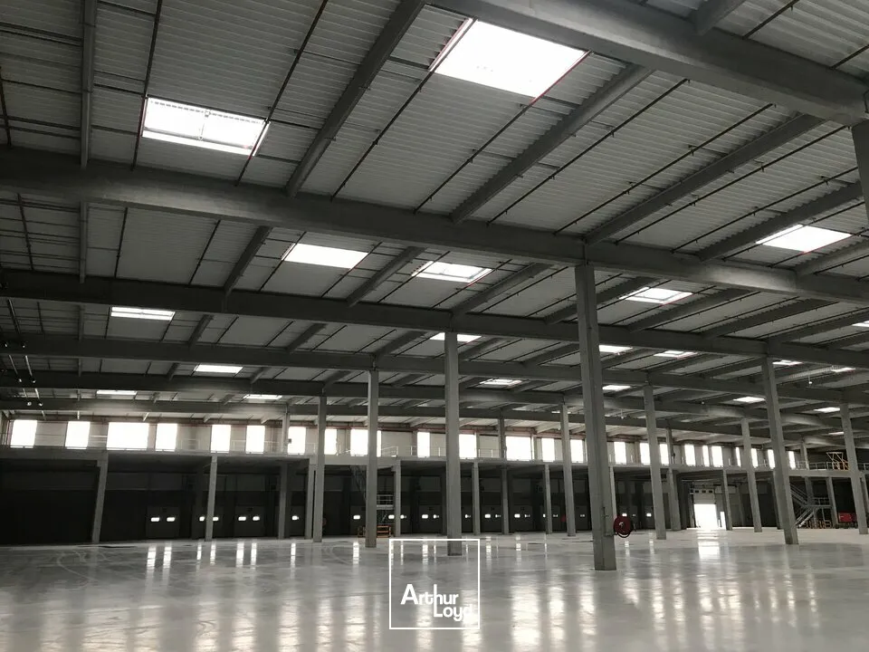 Locaux d'activité & Entrepôts - Location - ENSISHEIM - 68190 - 12394.64-25209.53 - 7608425