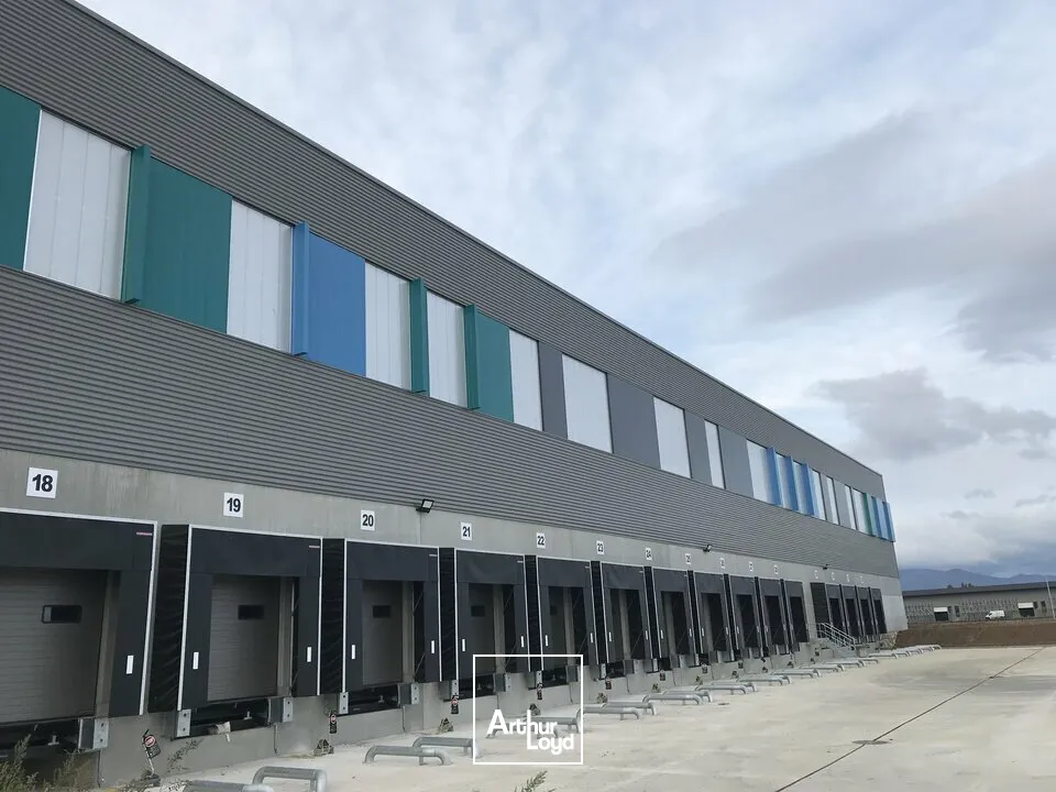 Locaux d'activité & Entrepôts - Location - ENSISHEIM - 68190 - 12394.64-25209.53 - 7608426