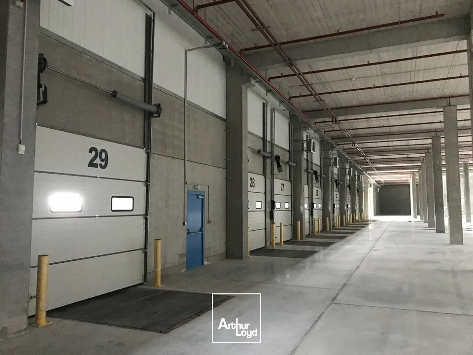 Locaux d'activité & Entrepôts - Location - ENSISHEIM - 68190 - 12394.64-25209.53 - 7608427