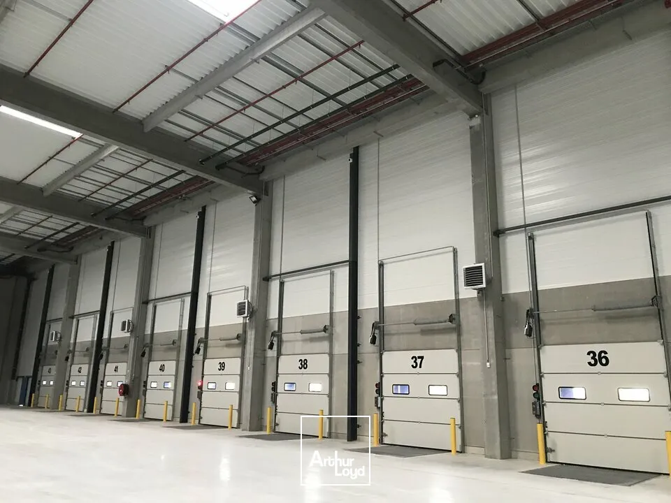 Locaux d'activité & Entrepôts - Location - ENSISHEIM - 68190 - 12394.64-25209.53 - 7608429