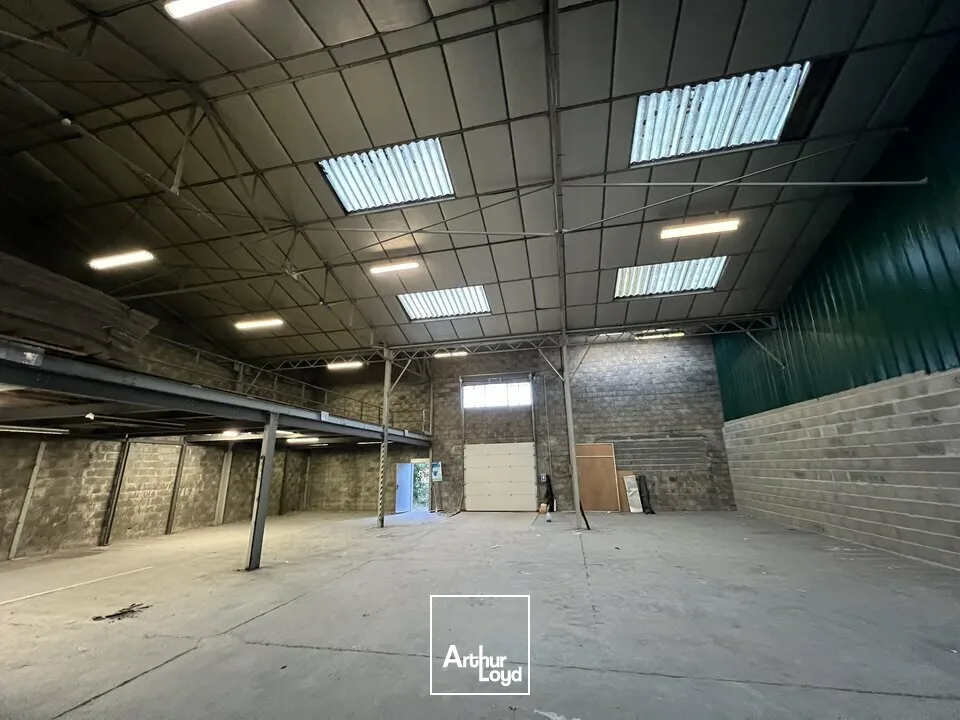 Locaux d'activité & Entrepôts - Location - ANGOULEME - 16000 - 300-300 - 7608621