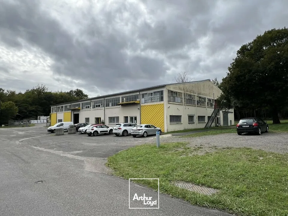 Locaux d'activité & Entrepôts - Vente - MORNAC - 16600 - 1986-1986 - 7608622