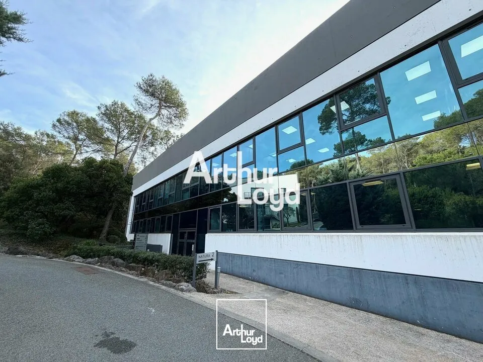 Bureaux - Location - MOUGINS - 06250 - 308-308 - 7609279