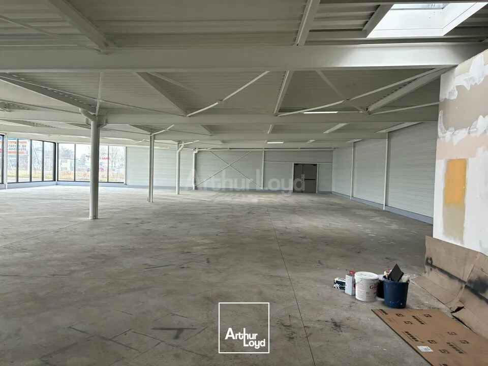 Locaux commerciaux - Location - HAGUENAU - 67500 - 330-660 - 7609359