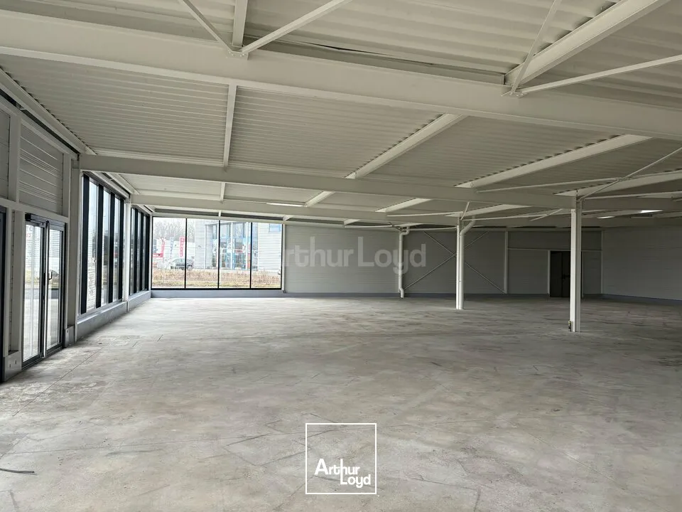 Locaux commerciaux - Location - HAGUENAU - 67500 - 330-660 - 7609360