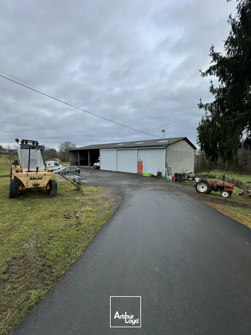 Bureaux - Vente - SAINTE-FÉRÉOLE - 19270 - 1120-1120 - 7609385