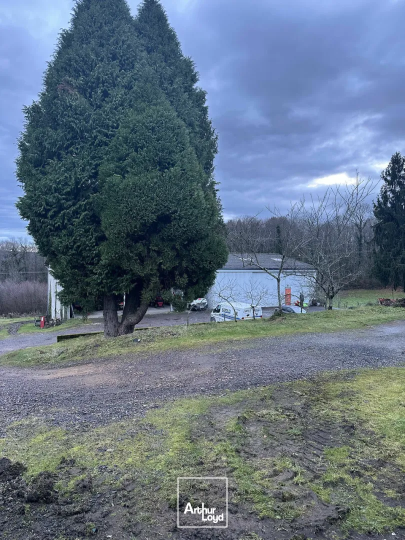 Bureaux - Vente - SAINTE-FÉRÉOLE - 19270 - 1120-1120 - 7609396