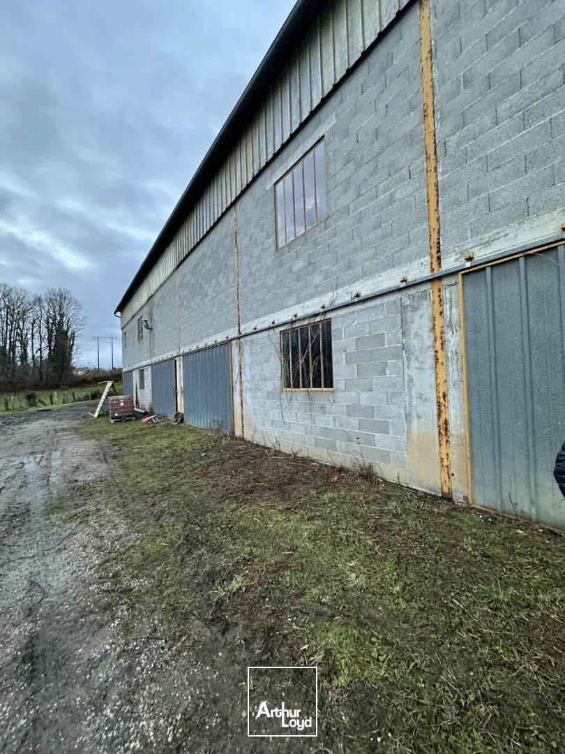 Bureaux - Vente - SAINTE-FÉRÉOLE - 19270 - 1120-1120 - 7609387