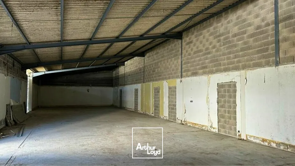 Locaux d'activité & Entrepôts - Location - SAINT DOULCHARD - 18230 - 255-255 - 7609522