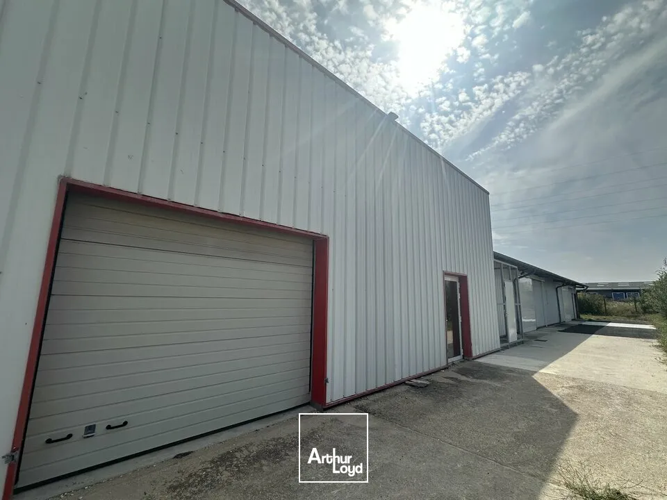 Locaux d'activité & Entrepôts - Location - SAINT DOULCHARD - 18230 - 255-255 - 7609521