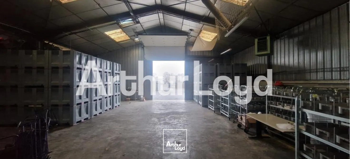 Locaux d'activité & Entrepôts - Vente - GIBERVILLE - 14730 - 1180-1180 - 7610116