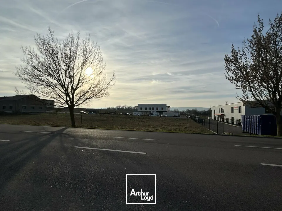 Terrains - Vente - BERTRANGE - 57310 - 2279-2279 - 7610211