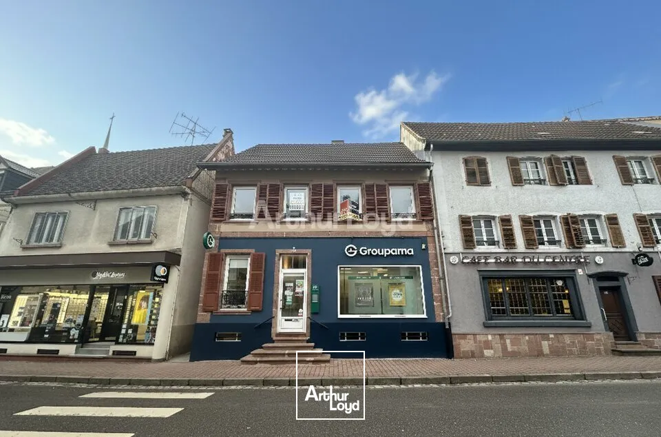 Locaux d'activité & Entrepôts - Vente - SCHIRMECK - 67130 - 189-189 - 7610980