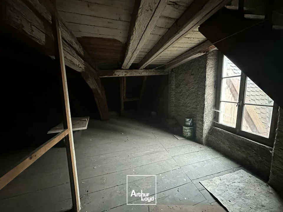 Locaux d'activité & Entrepôts - Vente - SCHIRMECK - 67130 - 189-189 - 7610987