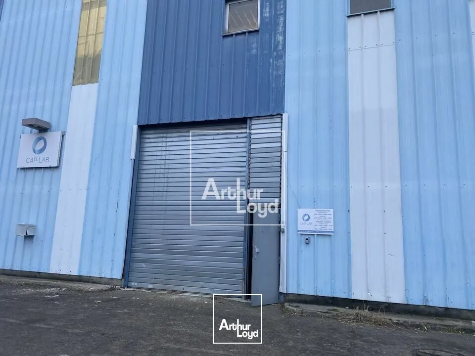 Locaux d'activité & Entrepôts - Location - CHILLY MAZARIN - 91380 - 783-783 - 7611015