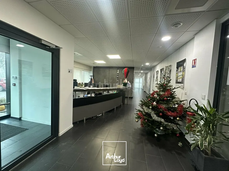Bureaux - Location - SCHILTIGHEIM - 67300 - 328-986 - 7611954