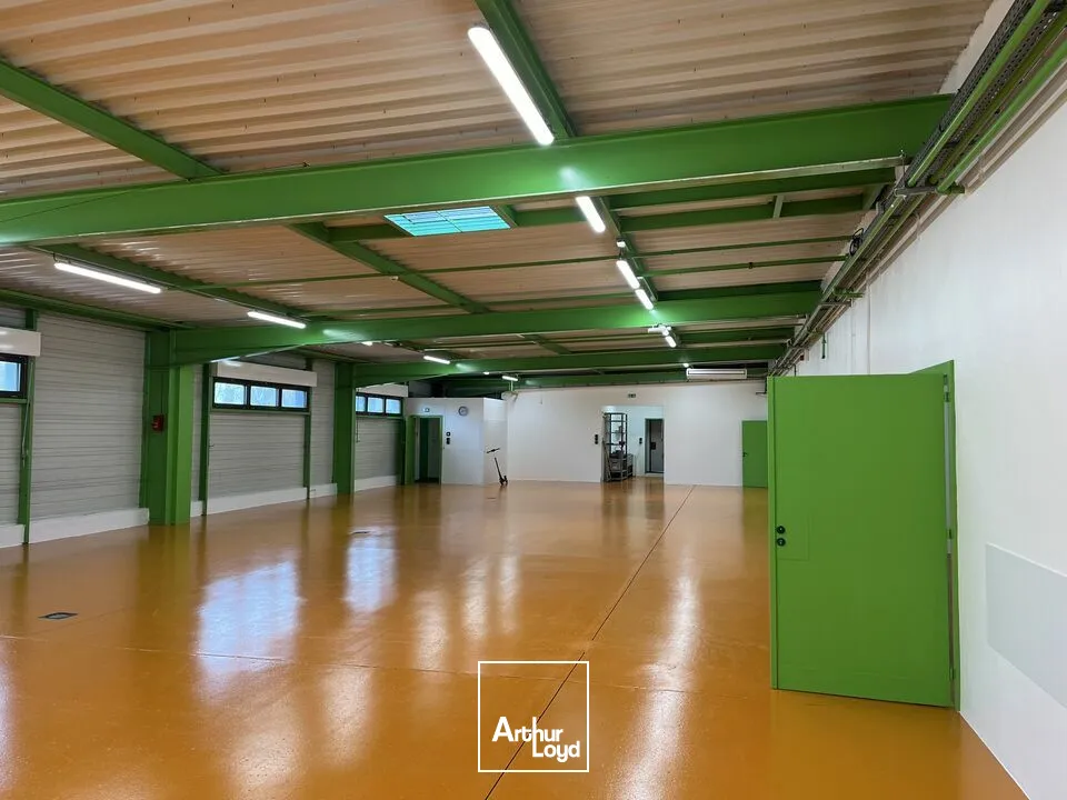 Locaux d'activité & Entrepôts - Location - RIXHEIM - 68170 - 1450-1450 - 7612947