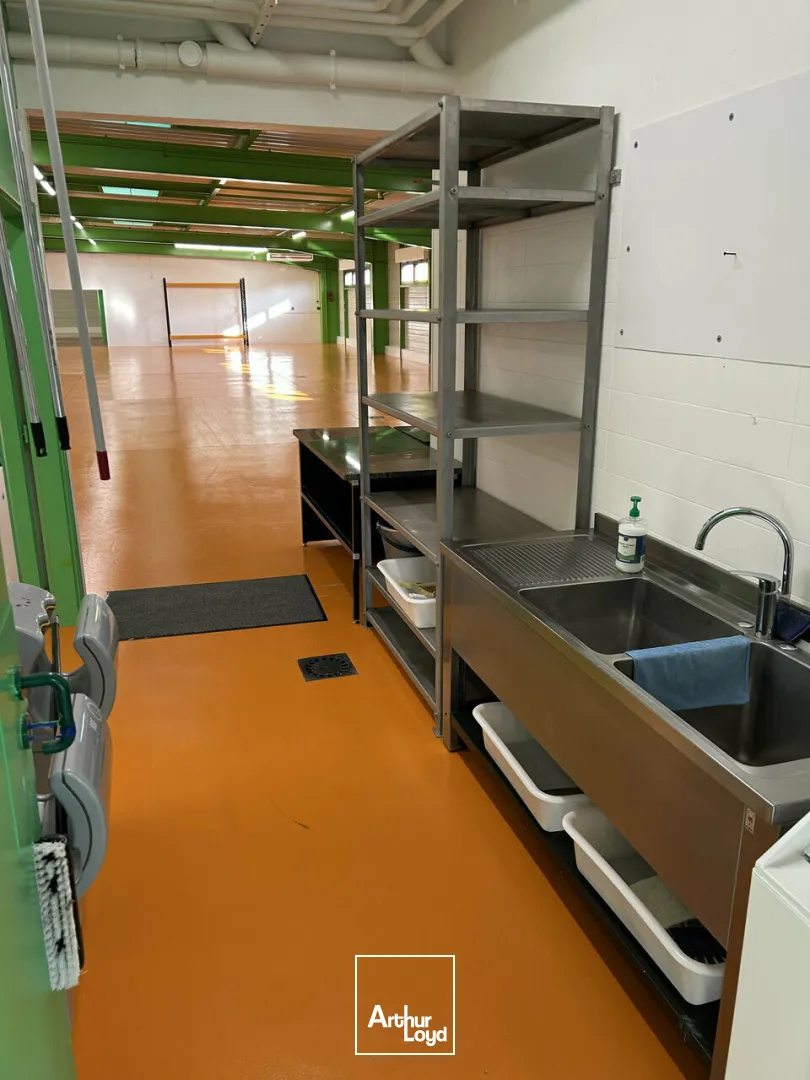 Locaux d'activité & Entrepôts - Location - RIXHEIM - 68170 - 1450-1450 - 7612953