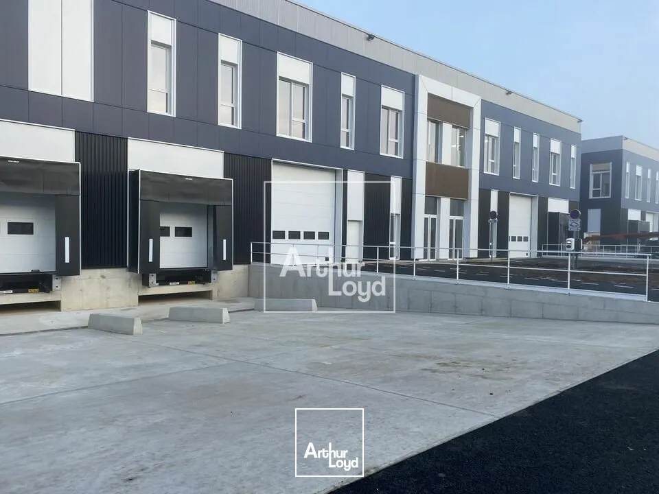 Locaux d'activité & Entrepôts - Location - MOISSY CRAMAYEL - 77550 - 823-10204.7 - 7612990