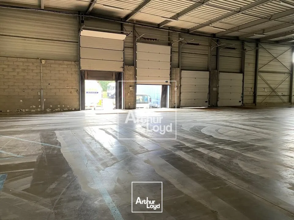 Locaux d'activité & Entrepôts - Location - EGLY - 91520 - 2750-2750 - 7612998