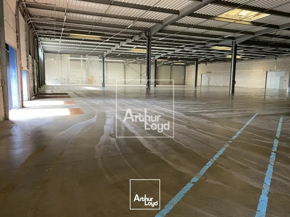 Locaux d'activité & Entrepôts - Location - EGLY - 91520 - 2750-2750 - 7612997