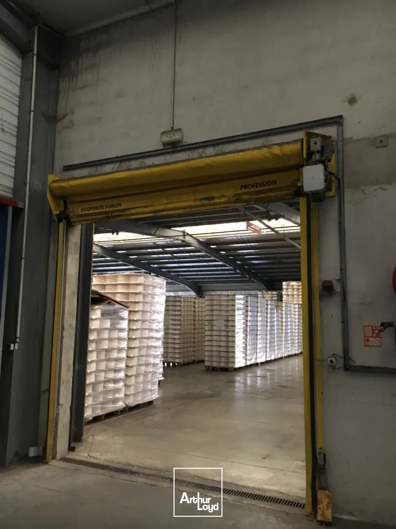 Locaux d'activité & Entrepôts - Vente - BOHAIN EN VERMANDOIS - 02110 - 6296-6296 - 7613113