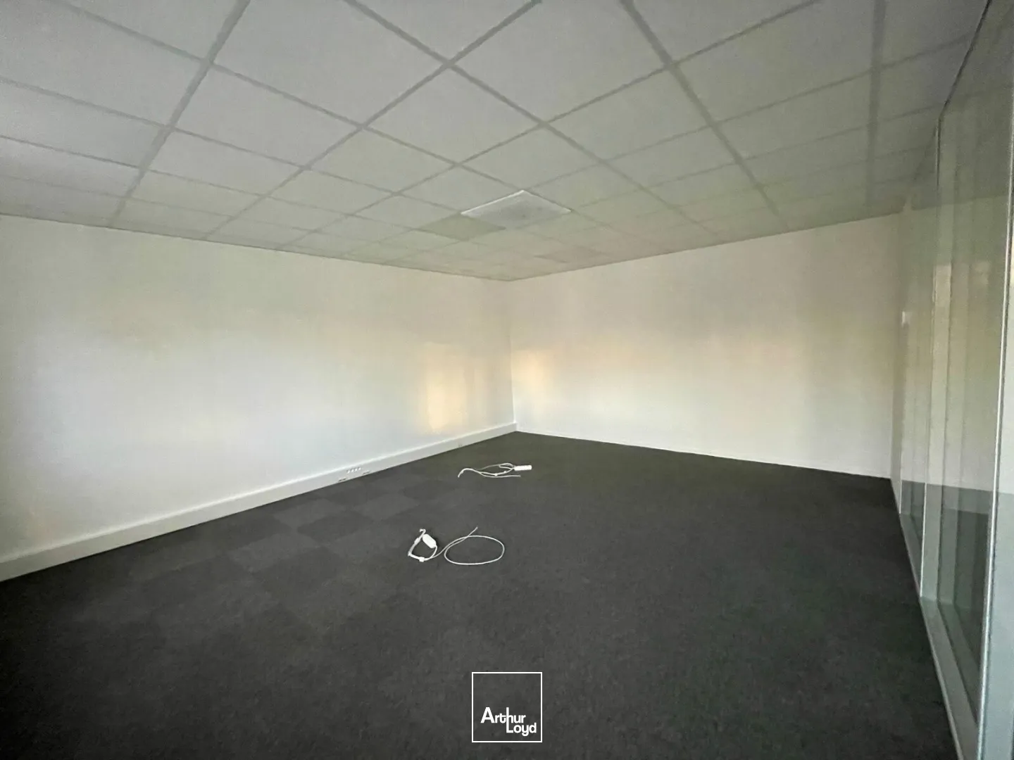 Bureaux - Location - VILLENEUVE D'ASCQ - 59650 - 87-438 - 7613416