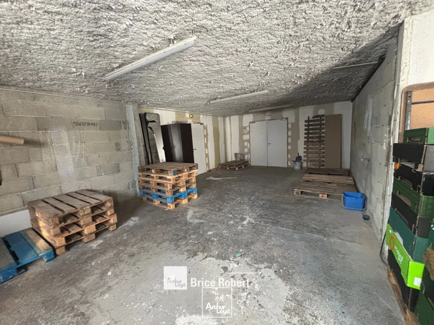 Locaux d'activité & Entrepôts - Vente - SAINT GENIS LAVAL - 69230 - 787.4-787.4 - 7613714