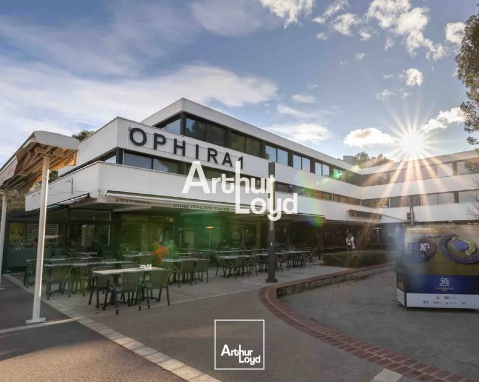 Bureaux PREMIUM climatisés et cloisonnés de 181 m² à louer Sophia Antipolis