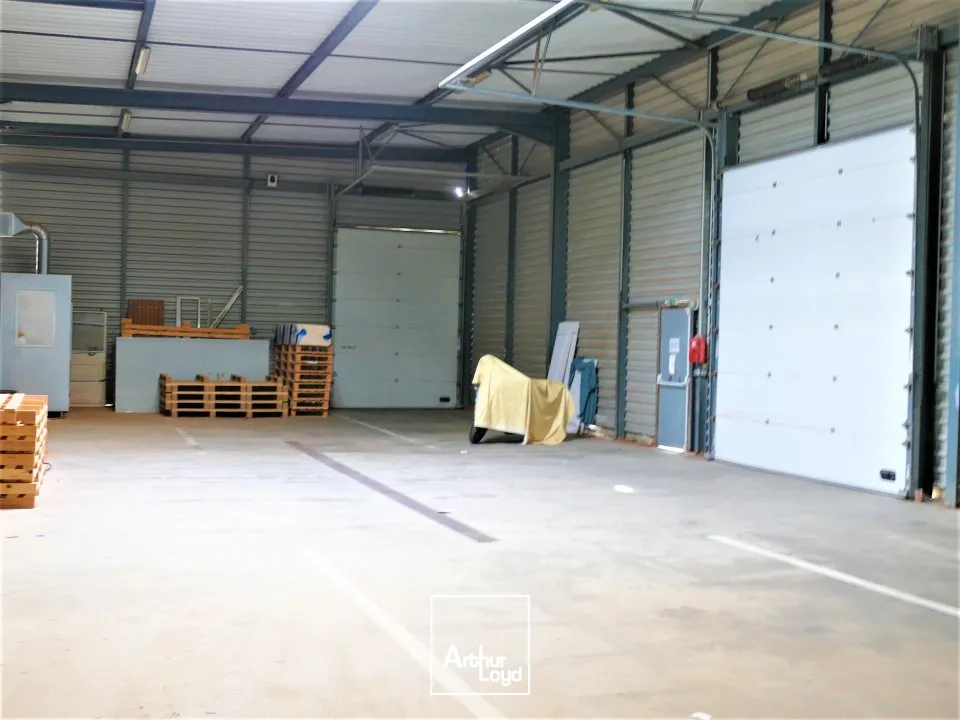 Locaux d'activité & Entrepôts - Vente - POITIERS - 86000 - 1373-1373 - 7613922