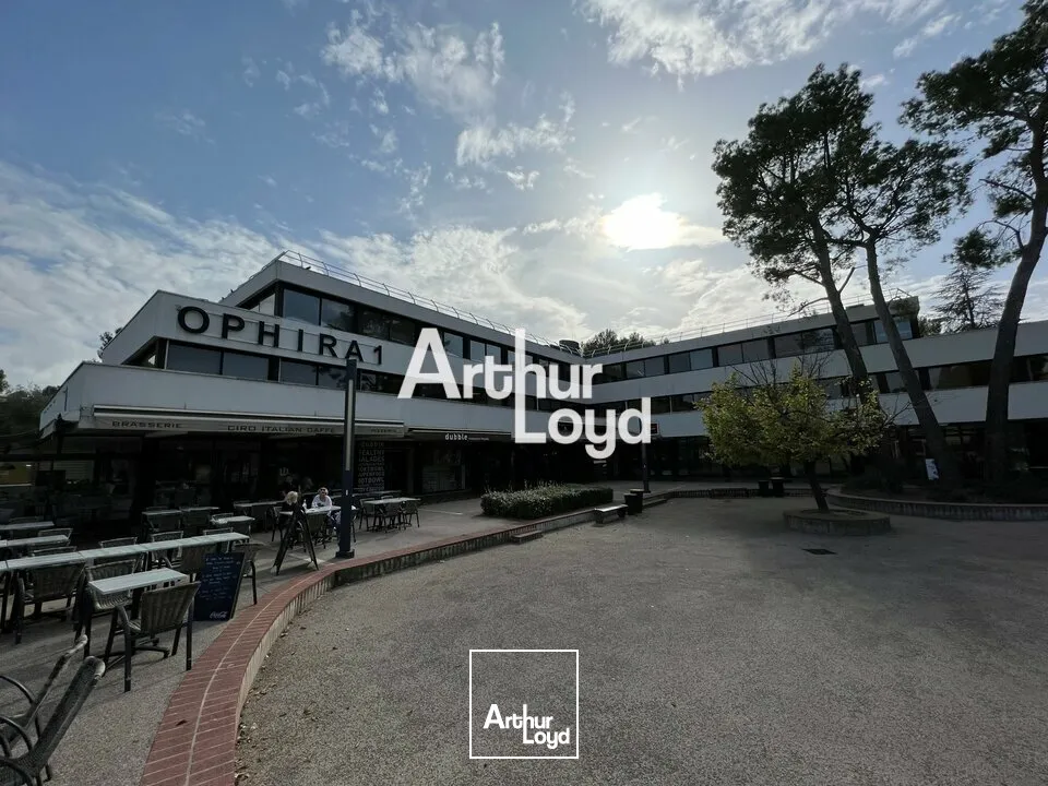 Bureaux - Vente - VALBONNE - 06560 - 181-181 - 7614623