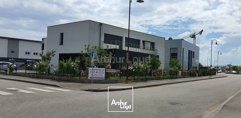 Bureaux - Location - ENTZHEIM - 67960 - 48-48 - 7614661