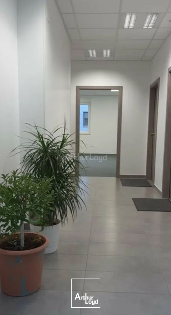 Bureaux - Location - ENTZHEIM - 67960 - 48-48 - 7614663