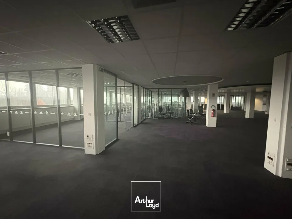 Bureaux - Location - LANDERSHEIM - 67700 - 50-2700 - 7614675