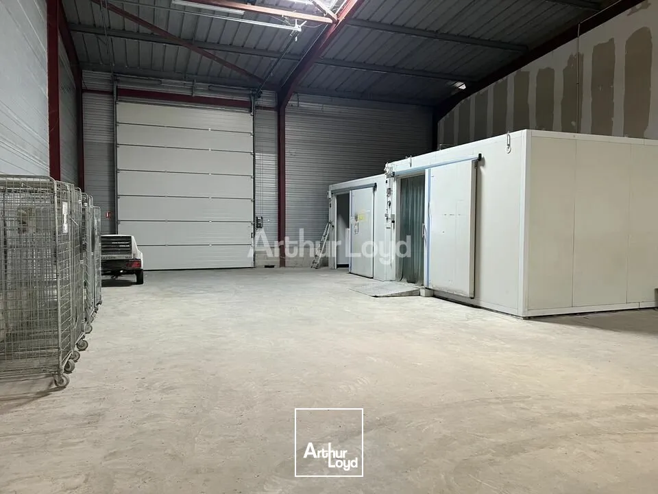 Locaux d'activité & Entrepôts - Location - SAINT MEMMIE - 51470 - 454-454 - 7614777