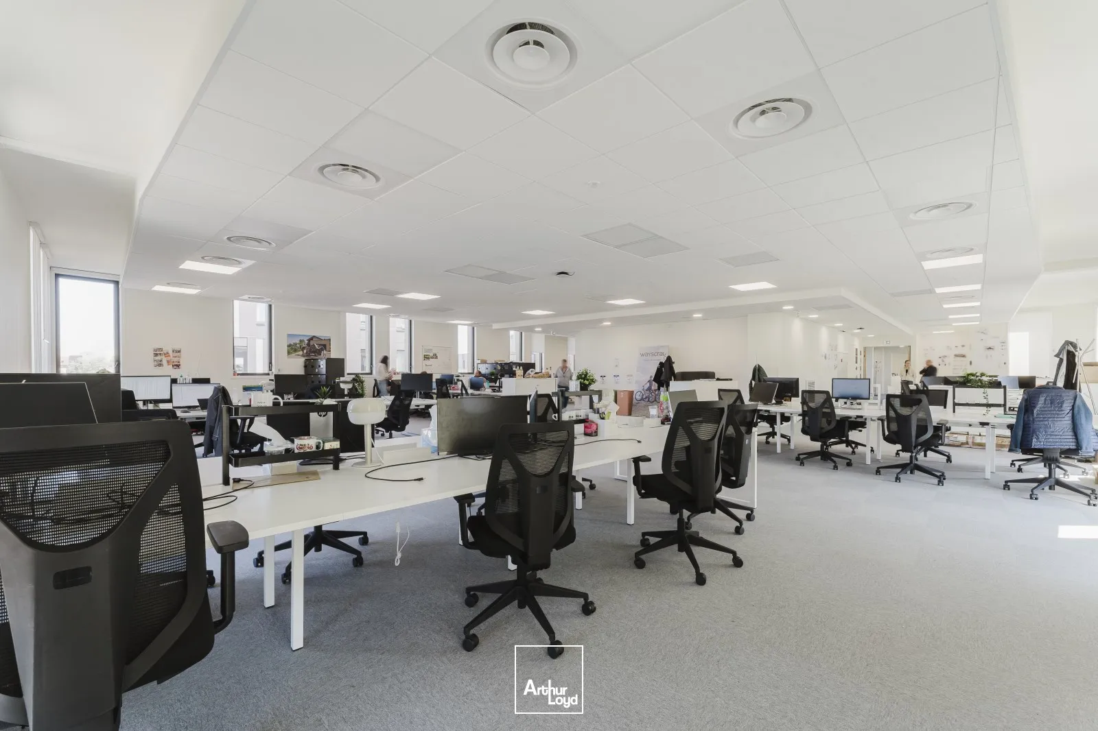Bureaux - Location - VILLENEUVE D'ASCQ - 59650 - 82-3098 - 7615286