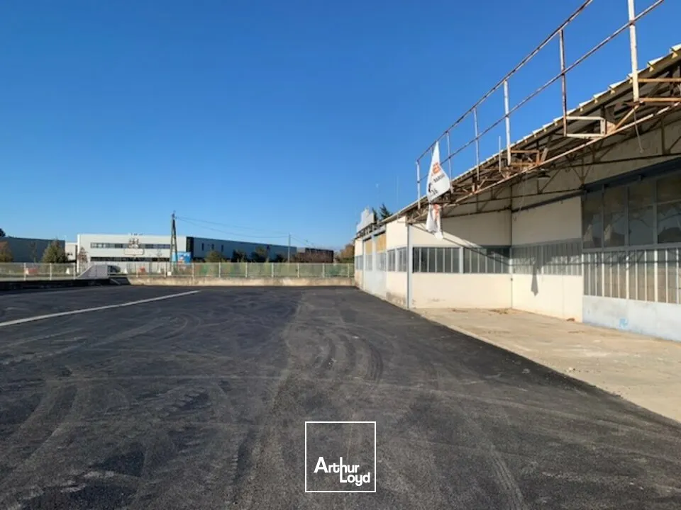 Locaux commerciaux - Location - CHÂTEAURENARD - 13160 - 300-1000 - 7615871