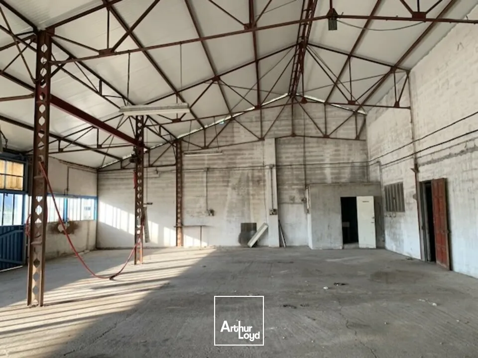 Locaux commerciaux - Location - CHÂTEAURENARD - 13160 - 300-1000 - 7615872