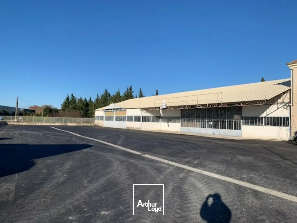 Locaux commerciaux - Location - CHÂTEAURENARD - 13160 - 300-600 - 7615876