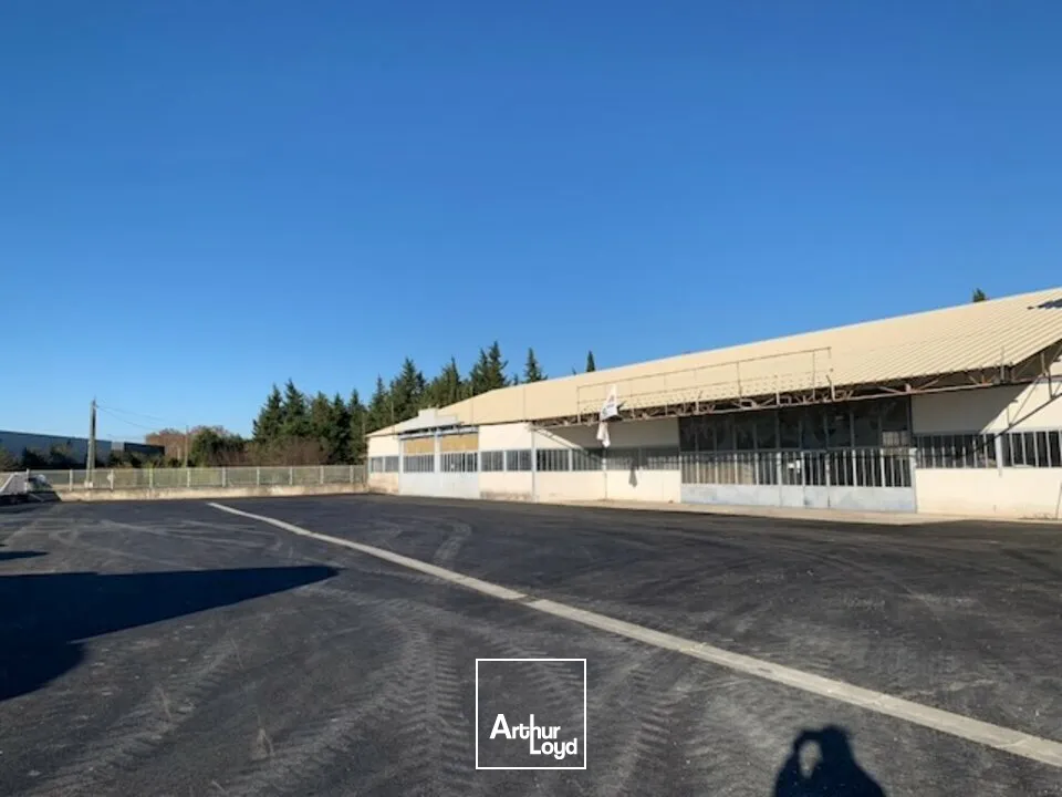 Locaux commerciaux - Location - CHÂTEAURENARD - 13160 - 300-600 - 7615879