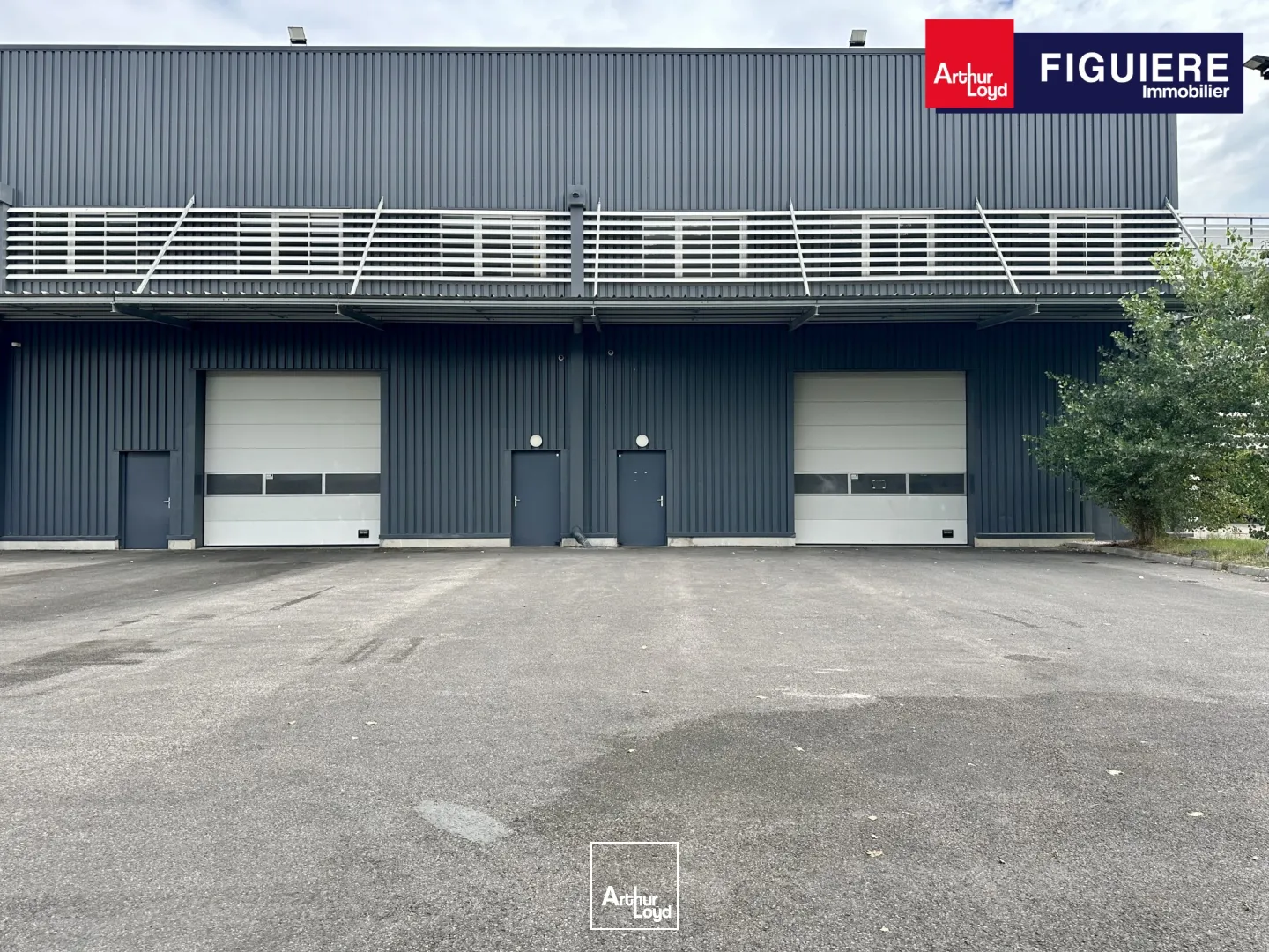 Locaux d'activité & Entrepôts - Location - AIX EN PROVENCE - 13290 - 580-580 - 7615987