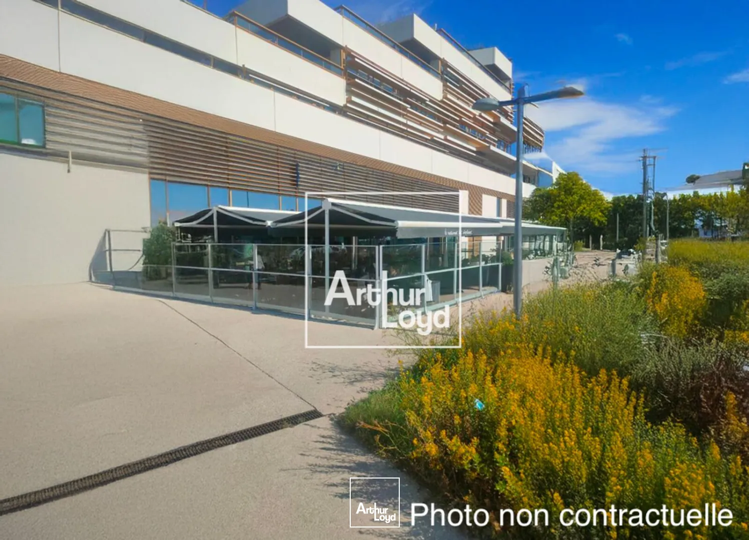 Locaux commerciaux - Location - PEROLS - 34470 - 427-427 - 7616022